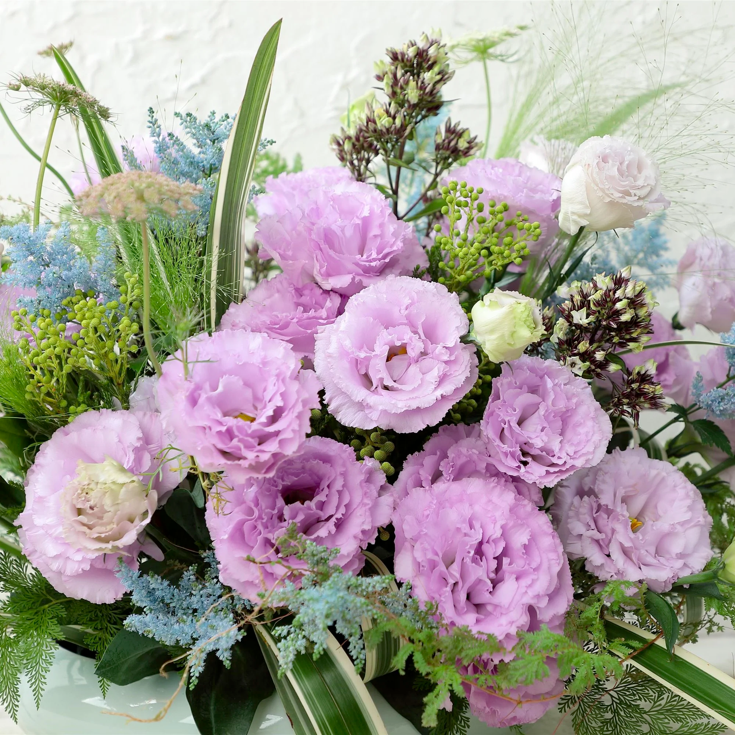 Lisanthus / Eustoma grandiflorum Samen – Die dornlose Rose
