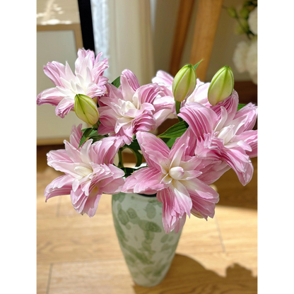 Lilienzwiebeln – Lotus Wonder